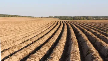 Капельный полив картофеля как перспективное направление картофелеводства
